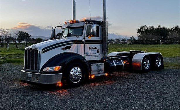 2014 PETERBILT 386