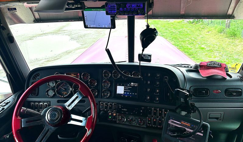 2019 Peterbilt 389 full