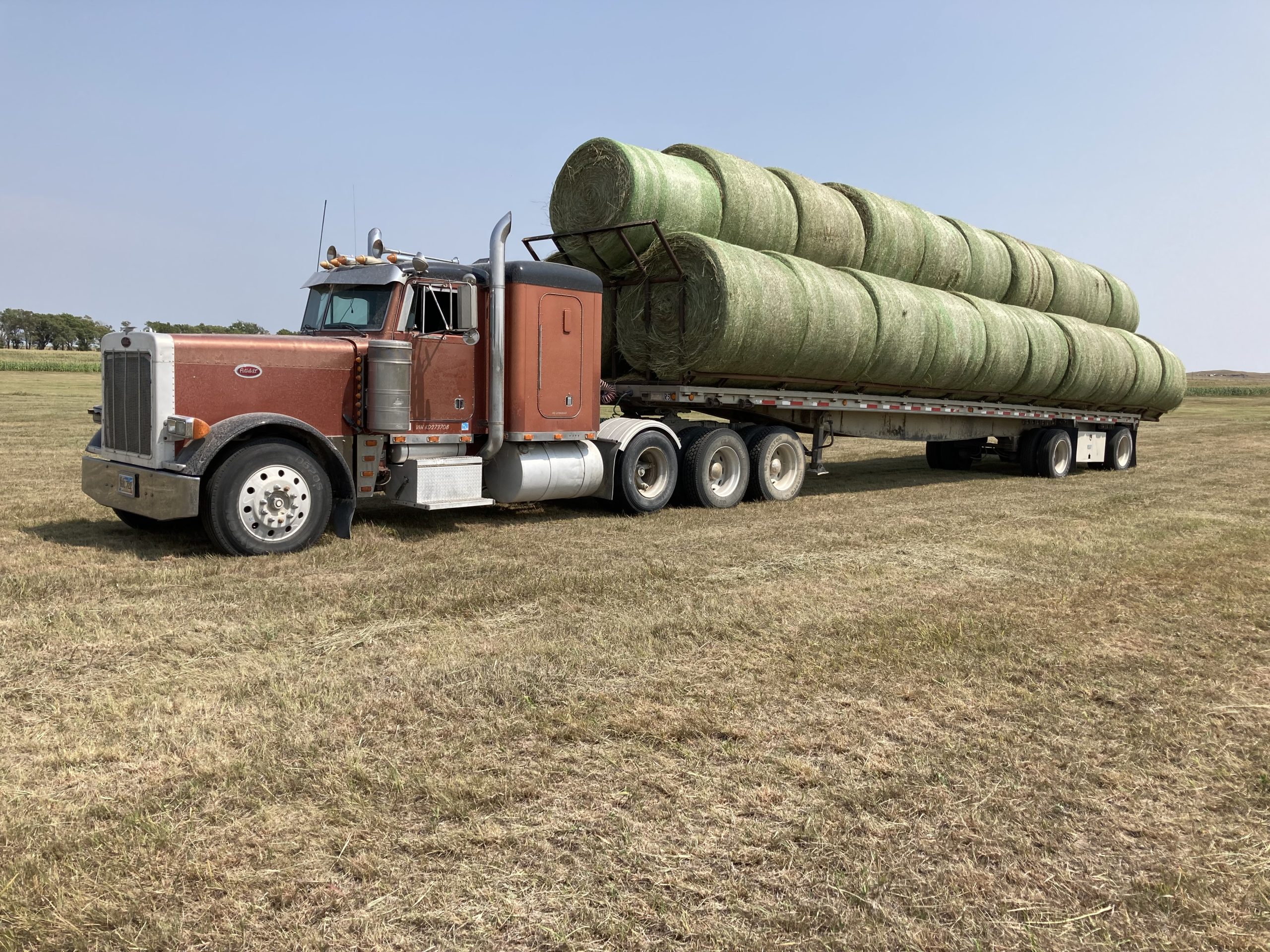 1989 Peterbilt 379