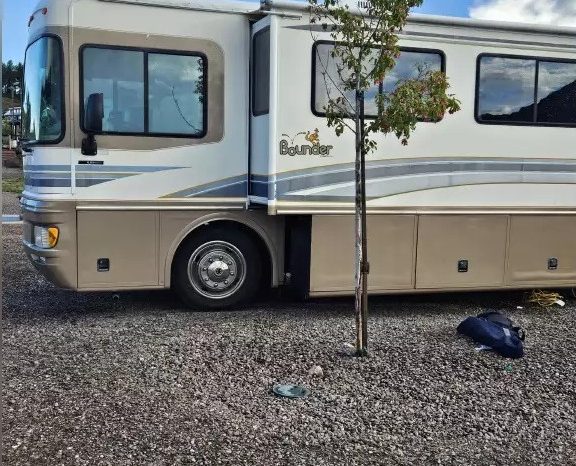 1999 FLEETWOOD BOUNDER full